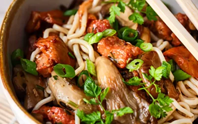 Sauté de porc – Shiitaké – Sichuan